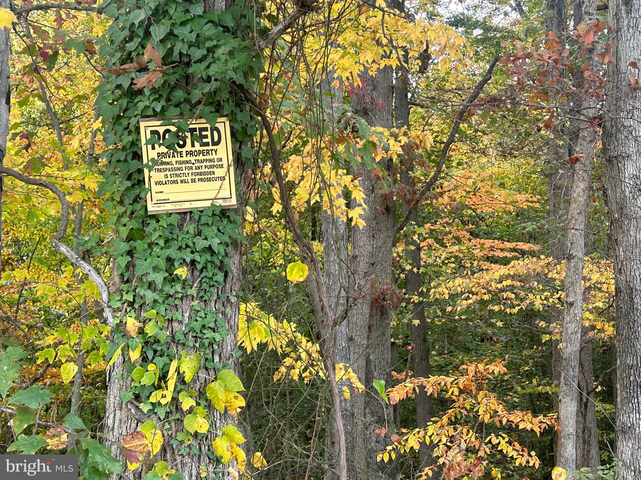 Bock Road Fort Washington, MD 20744 - Photo 3 of 13