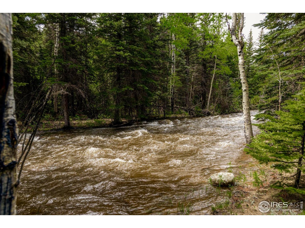 781 Cold Springs Road Boulder, CO 80302 - Photo 31 of 36 a view of outdoor space with trees