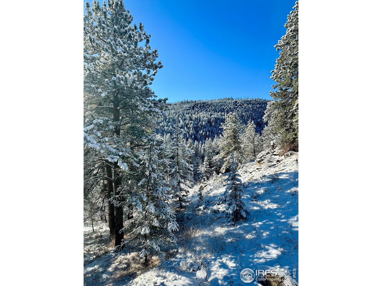 781 Cold Springs Road Boulder, CO 80302 - Photo 34 of 36 a view of a yard