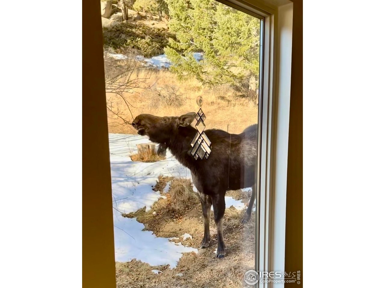 781 Cold Springs Road Boulder, CO 80302 - Photo 36 of 36 a view of a porch