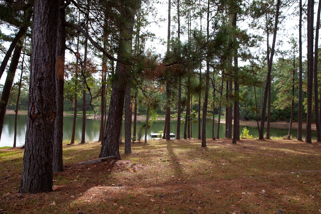 1120 Whitstone Road Lincolnton, GA 30817 - Photo 4 of 31 VIEW TO DOCK/WATER
