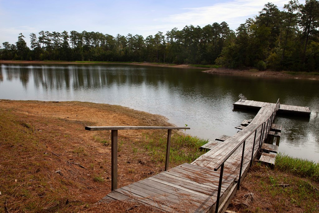 1120 Whitstone Road Lincolnton, GA 30817 - Photo 5 of 31 DOCK