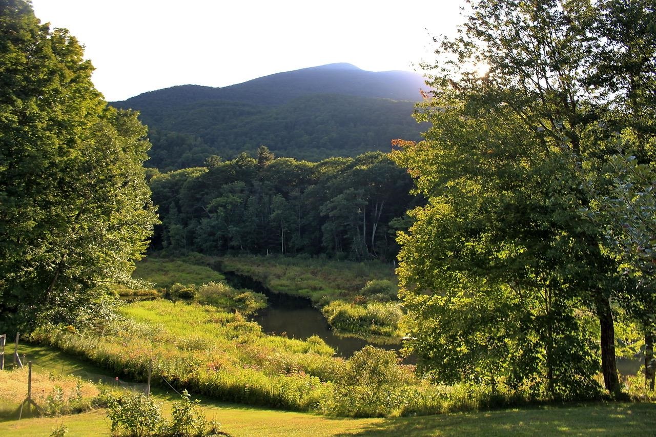 214 South End Road Mount Tabor, VT 05253 - Photo 8 of 55 Gallery Image 8