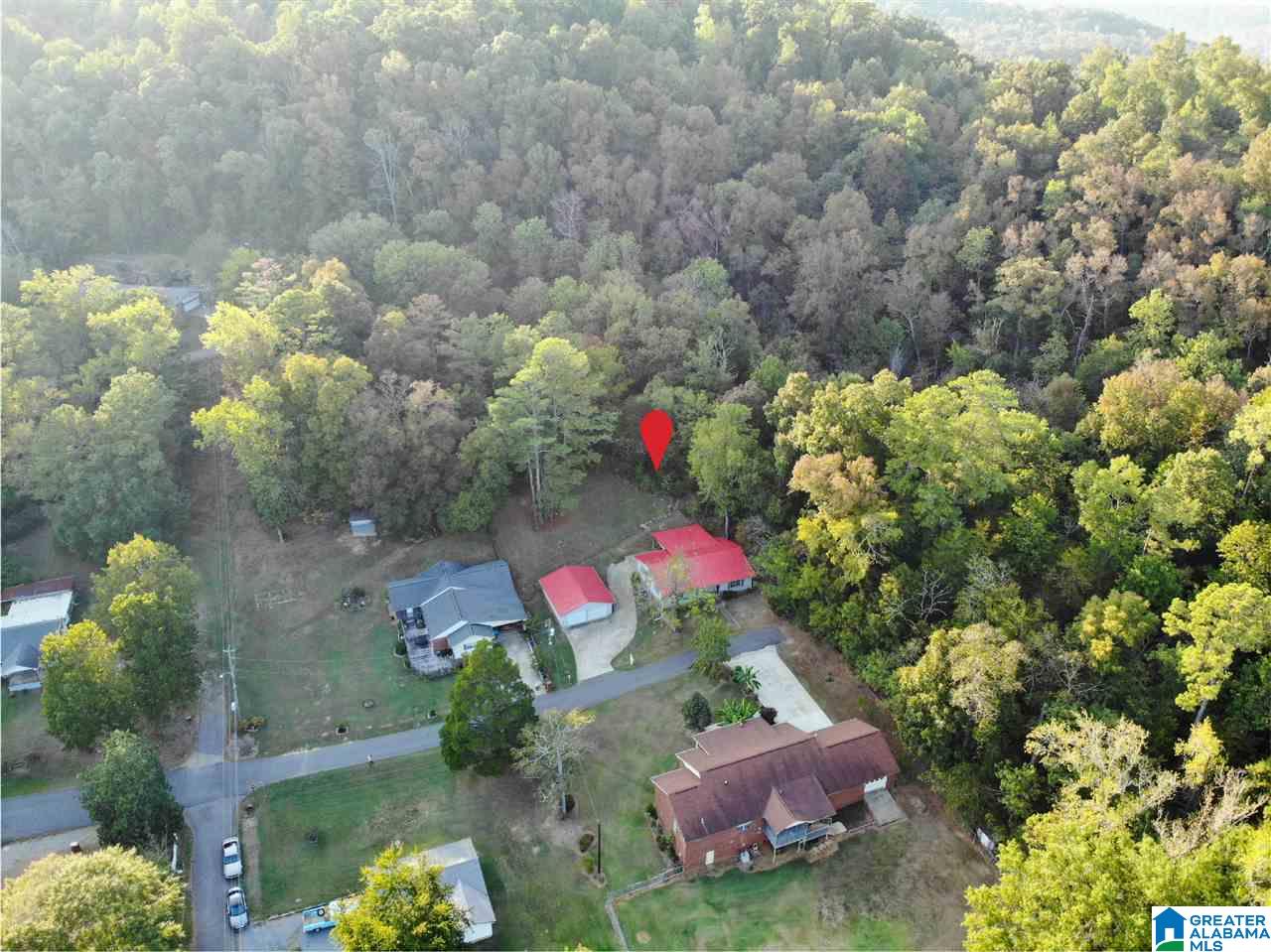 938 Cotton Avenue Oneonta, AL 35121 - Photo 4 of 50