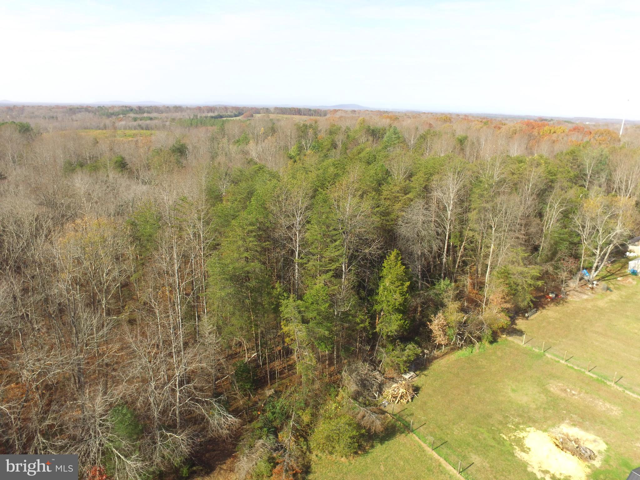 Jacobs Lignum, VA 22726 - Photo 2 of 10 Portion of wooded lot butting to neighbors land