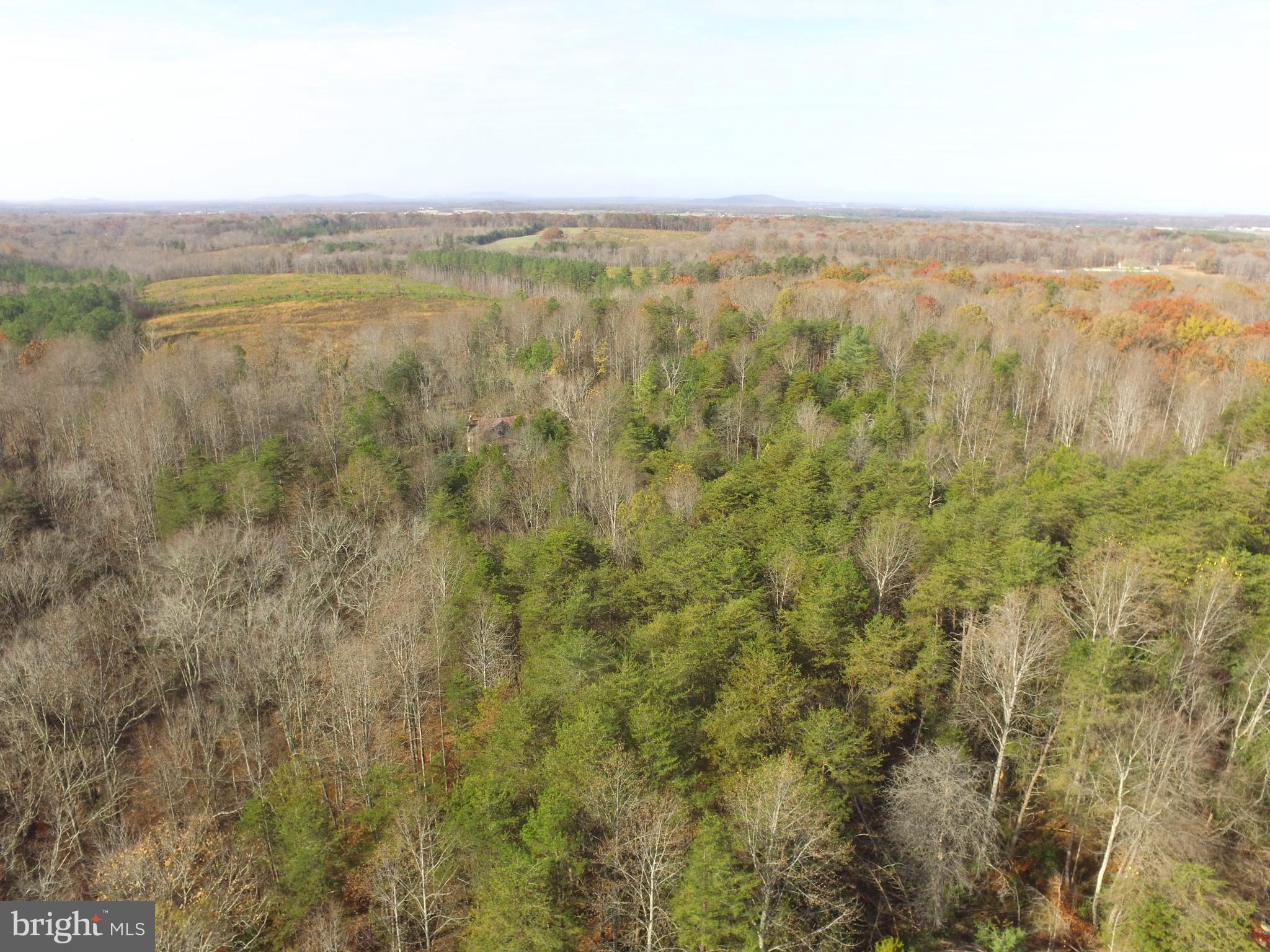 Jacobs Lignum, VA 22726 - Photo 4 of 10 Bring your ATV's