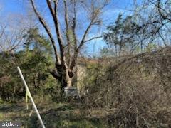 Jacobs Lignum, VA 22726 - Photo 7 of 10 Old structure