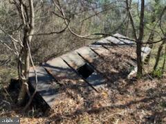 Jacobs Lignum, VA 22726 - Photo 8 of 10 Well on property, as-is