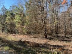 Jacobs Lignum, VA 22726 - Photo 9 of 10 Relax with nature by taking a stroll in the woods