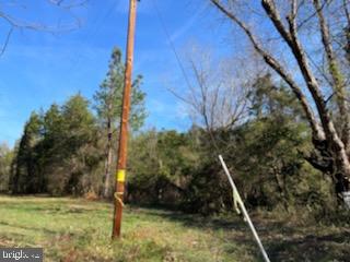 Jacobs Lignum, VA 22726 - Photo 10 of 10 Power lines to property