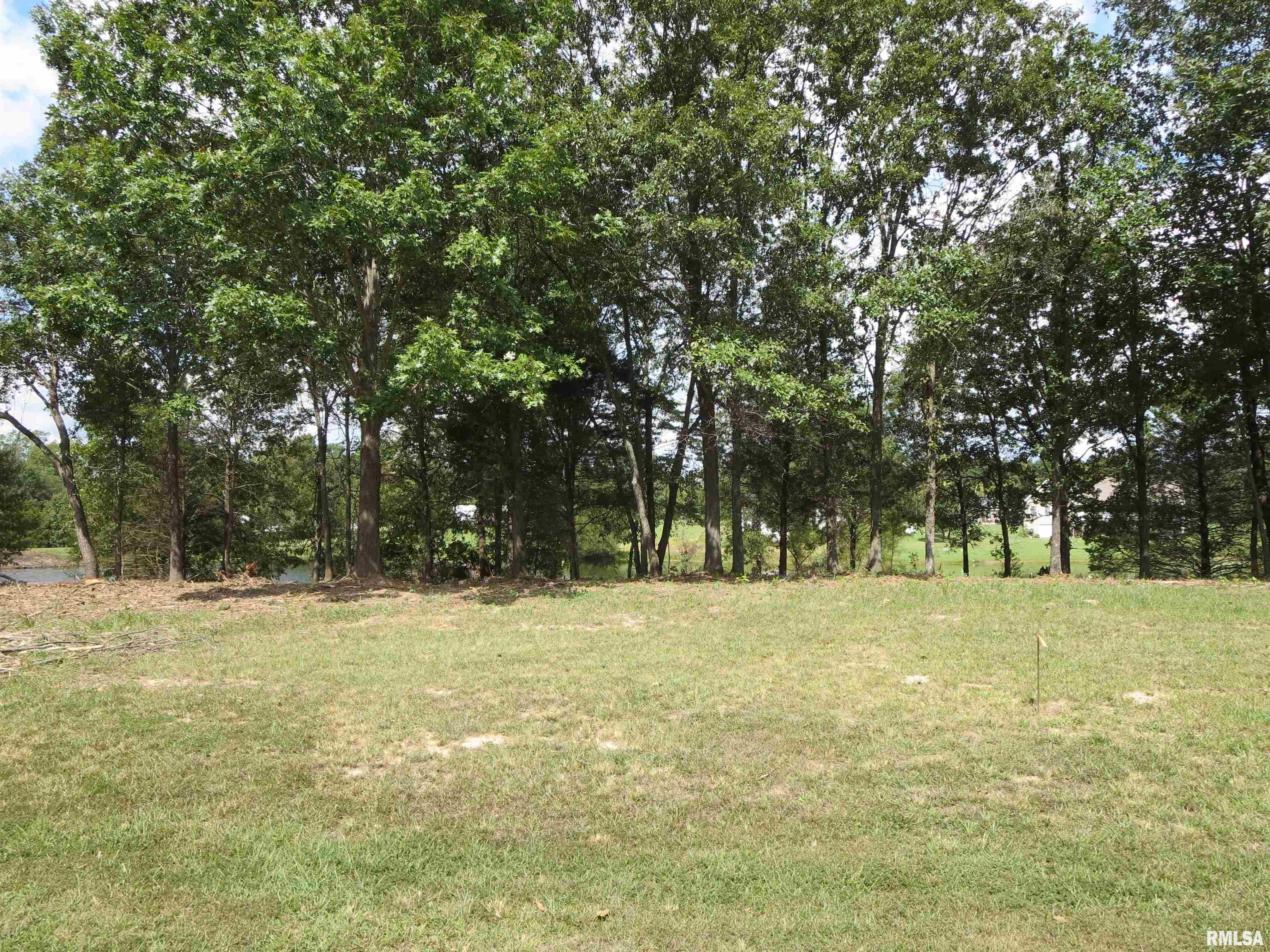 1516 Squires Point Road Pittsburg, IL 62974 - Photo 2 of 33