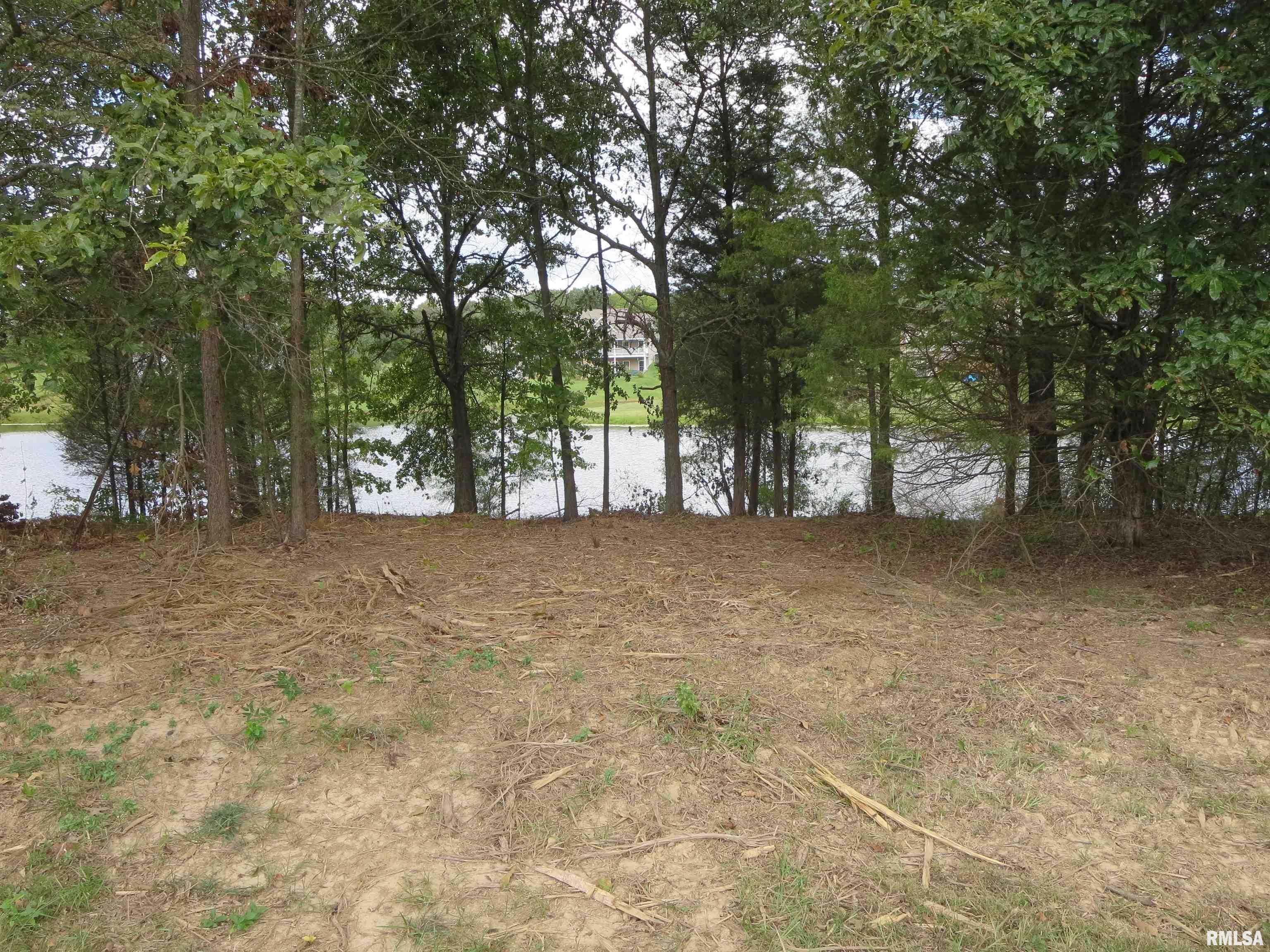 1516 Squires Point Road Pittsburg, IL 62974 - Photo 21 of 33