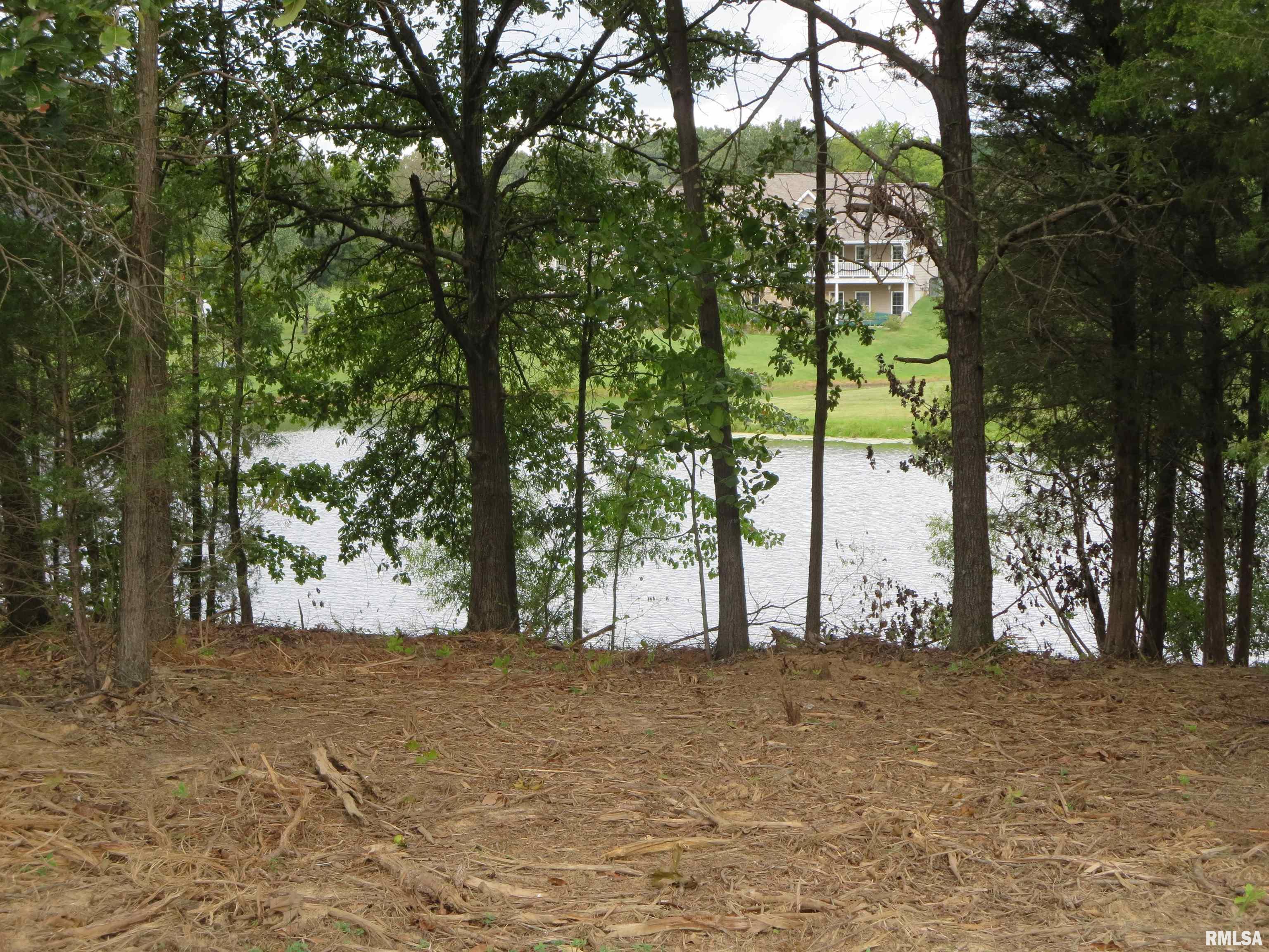 1516 Squires Point Road Pittsburg, IL 62974 - Photo 22 of 33