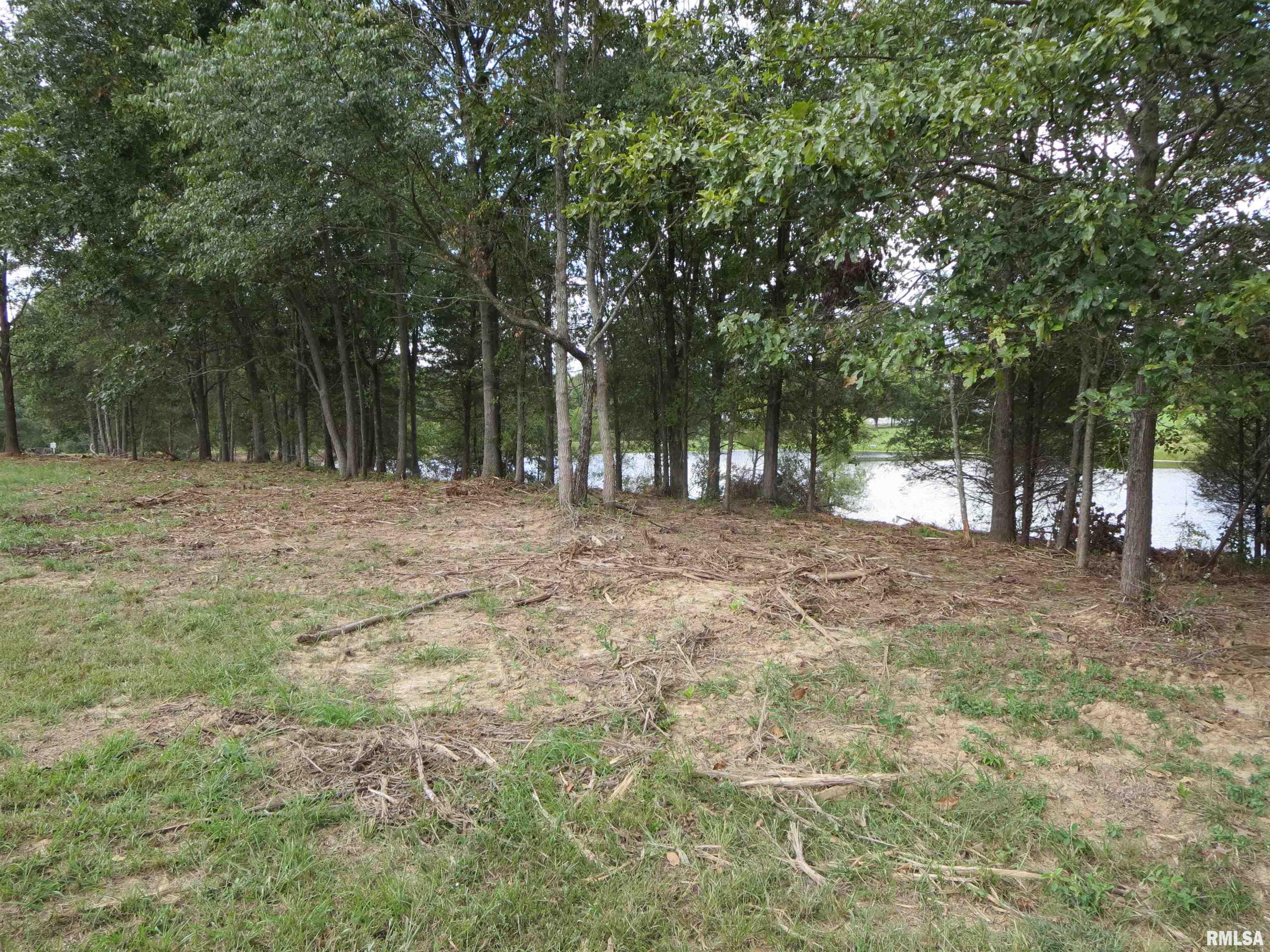 1516 Squires Point Road Pittsburg, IL 62974 - Photo 23 of 33