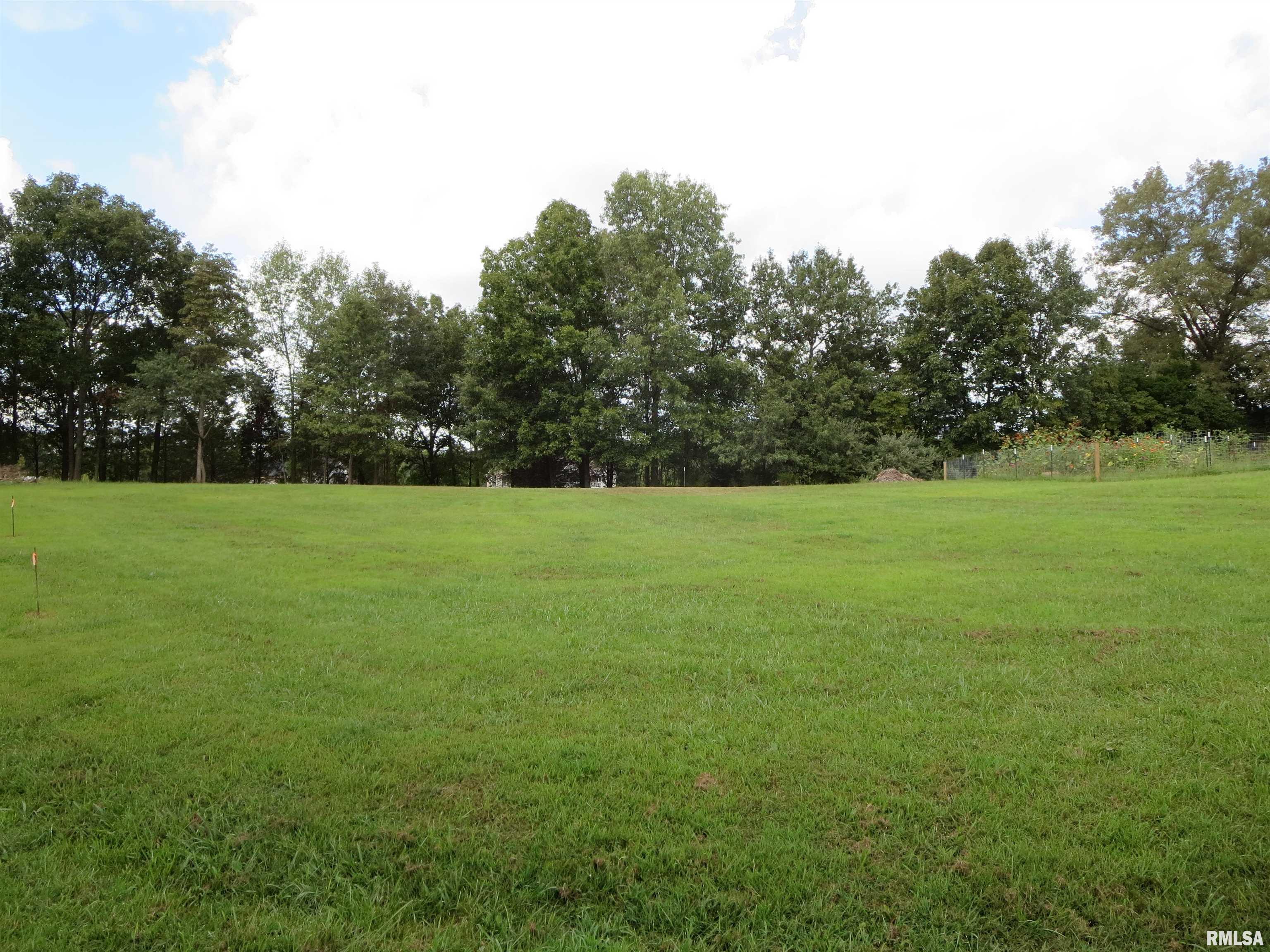 1516 Squires Point Road Pittsburg, IL 62974 - Photo 26 of 33