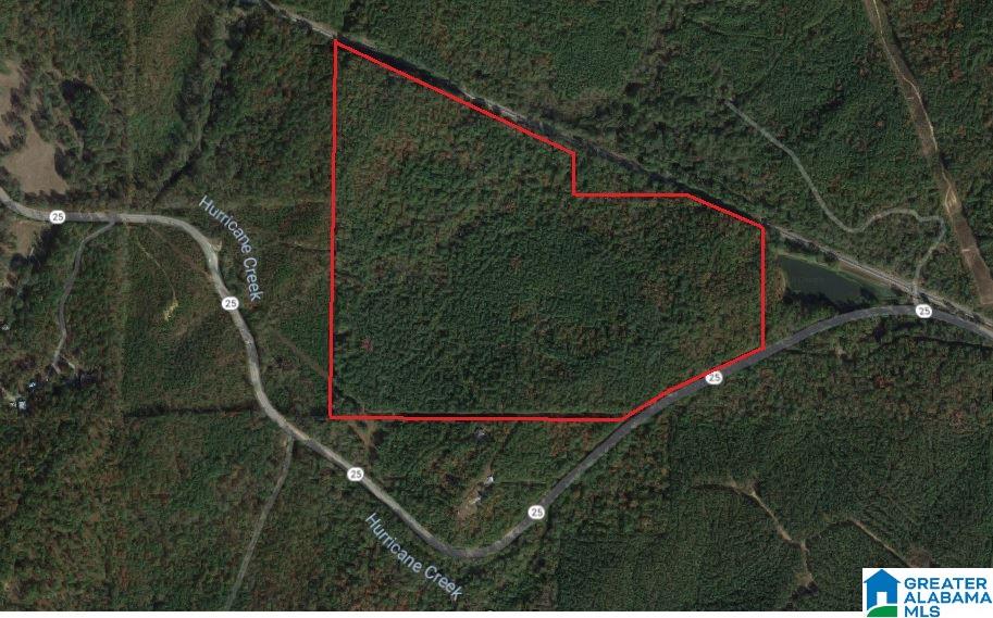 47586 Highway 25 Sterrett, AL 35147 - Photo 1 of 20