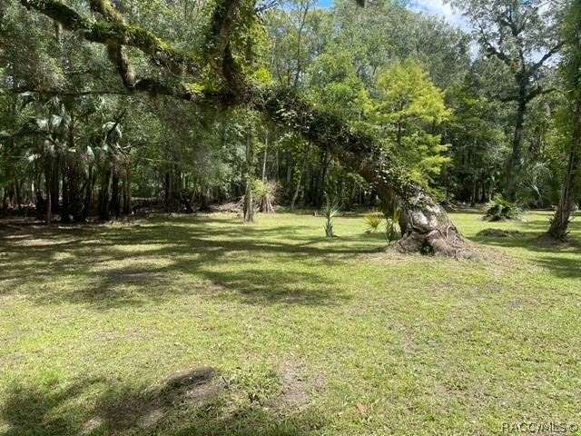 6409 East River Road Hernando, FL 34442 - Photo 9 of 50 Gallery Image 9