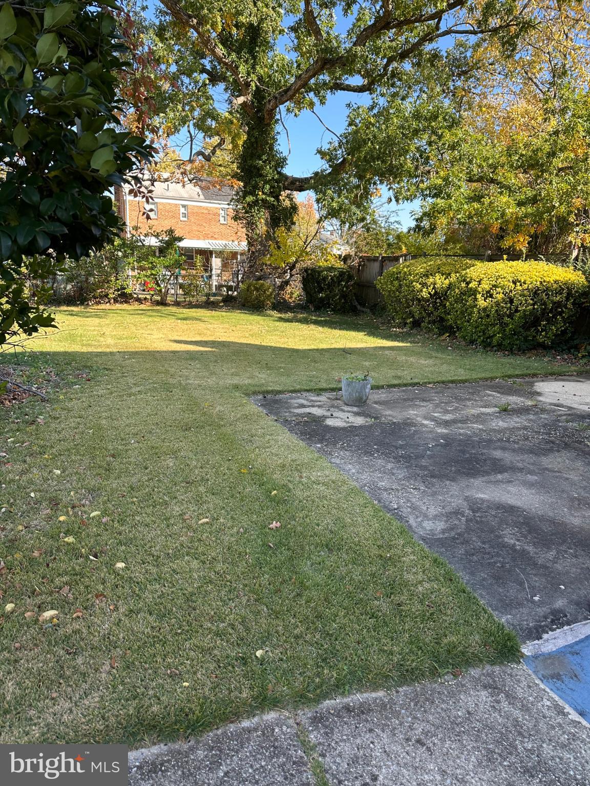 4008 24th Place Temple Hills, MD 20748 - Photo 31 of 31 a view of a yard with an trees