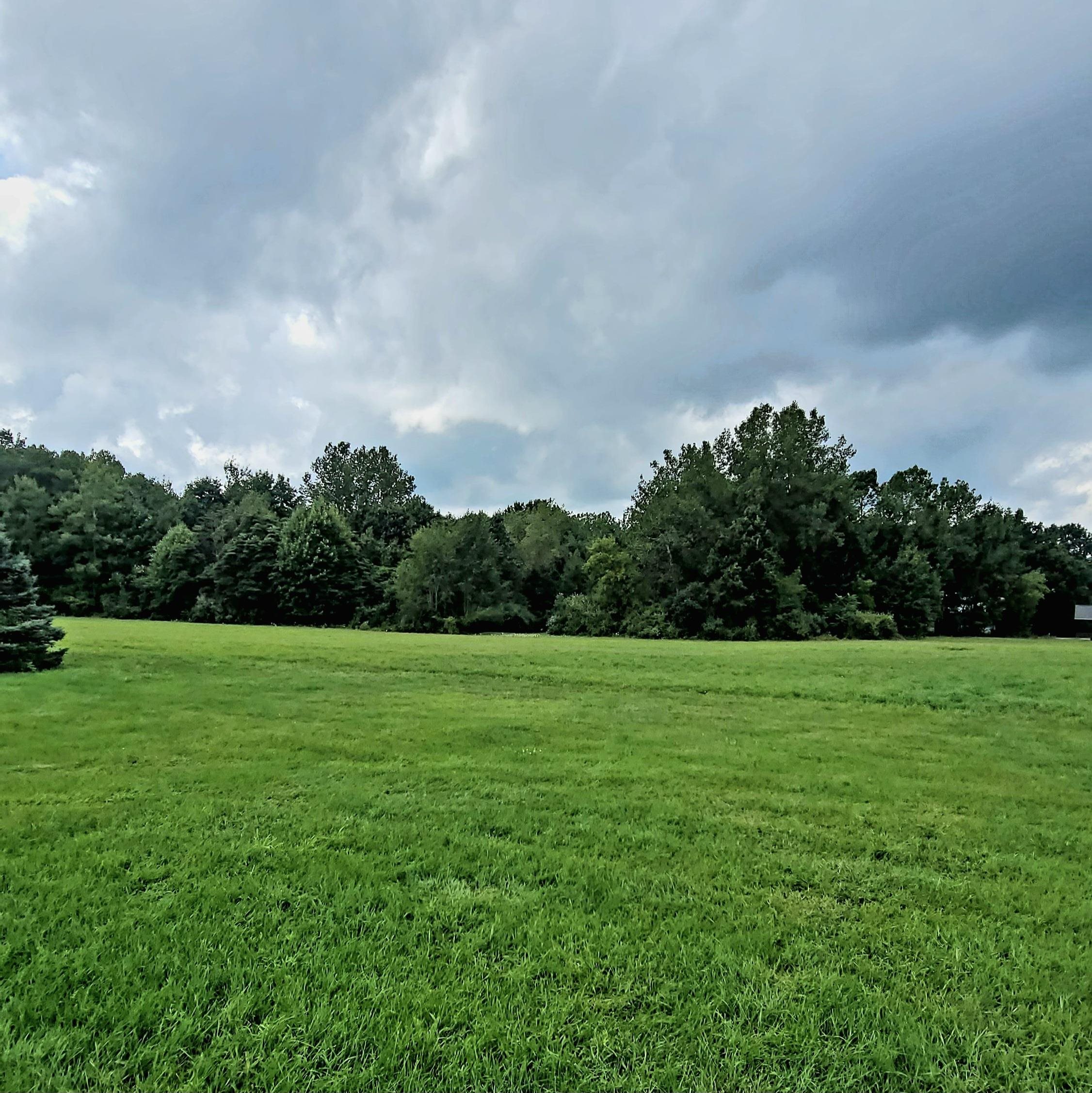 8514 Arbela Road Millington, MI 48746 - Photo 20 of 24