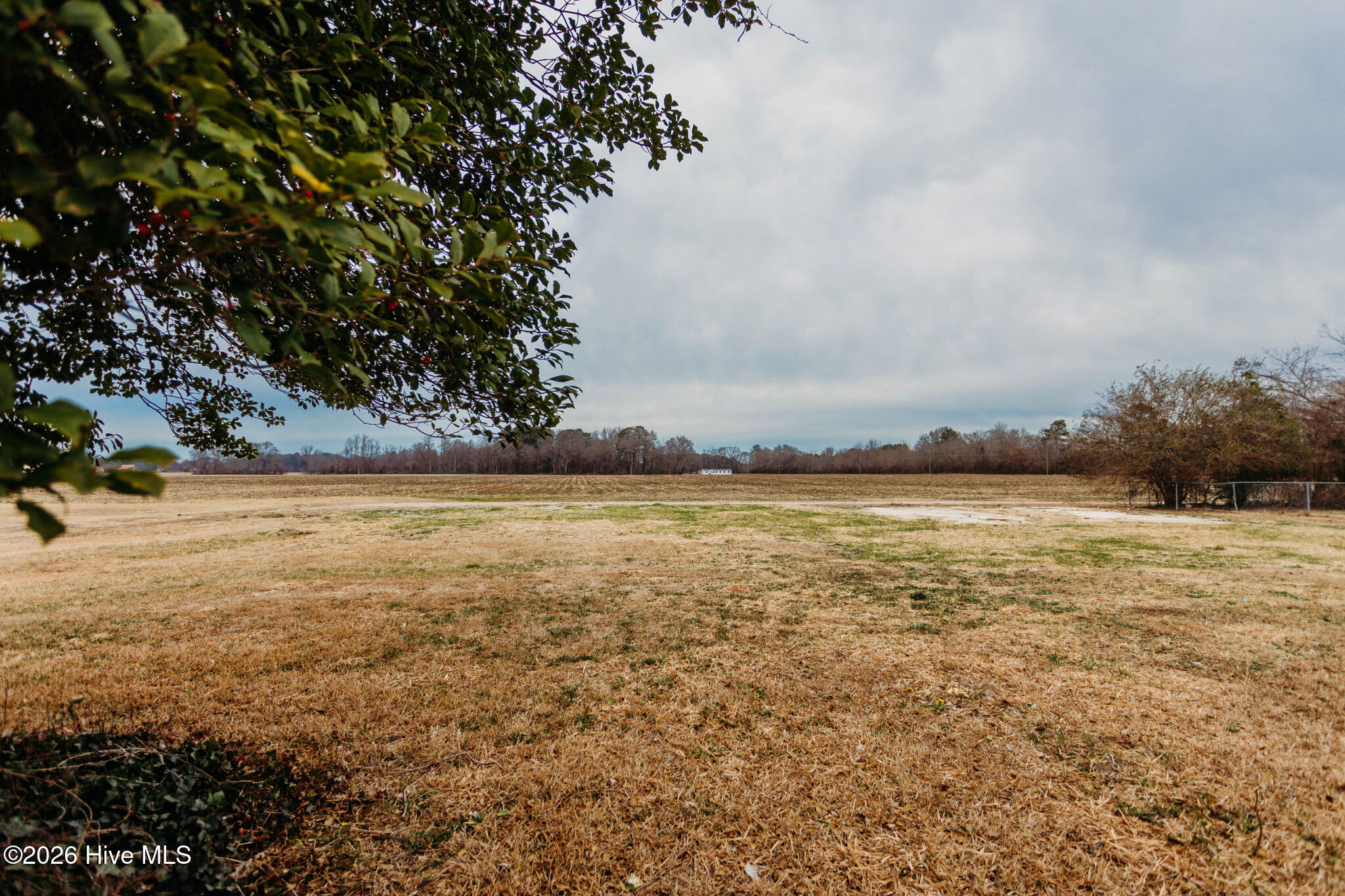 4559 Yank Road Wilson, NC 27893 - Photo 16 of 20 Back Yard