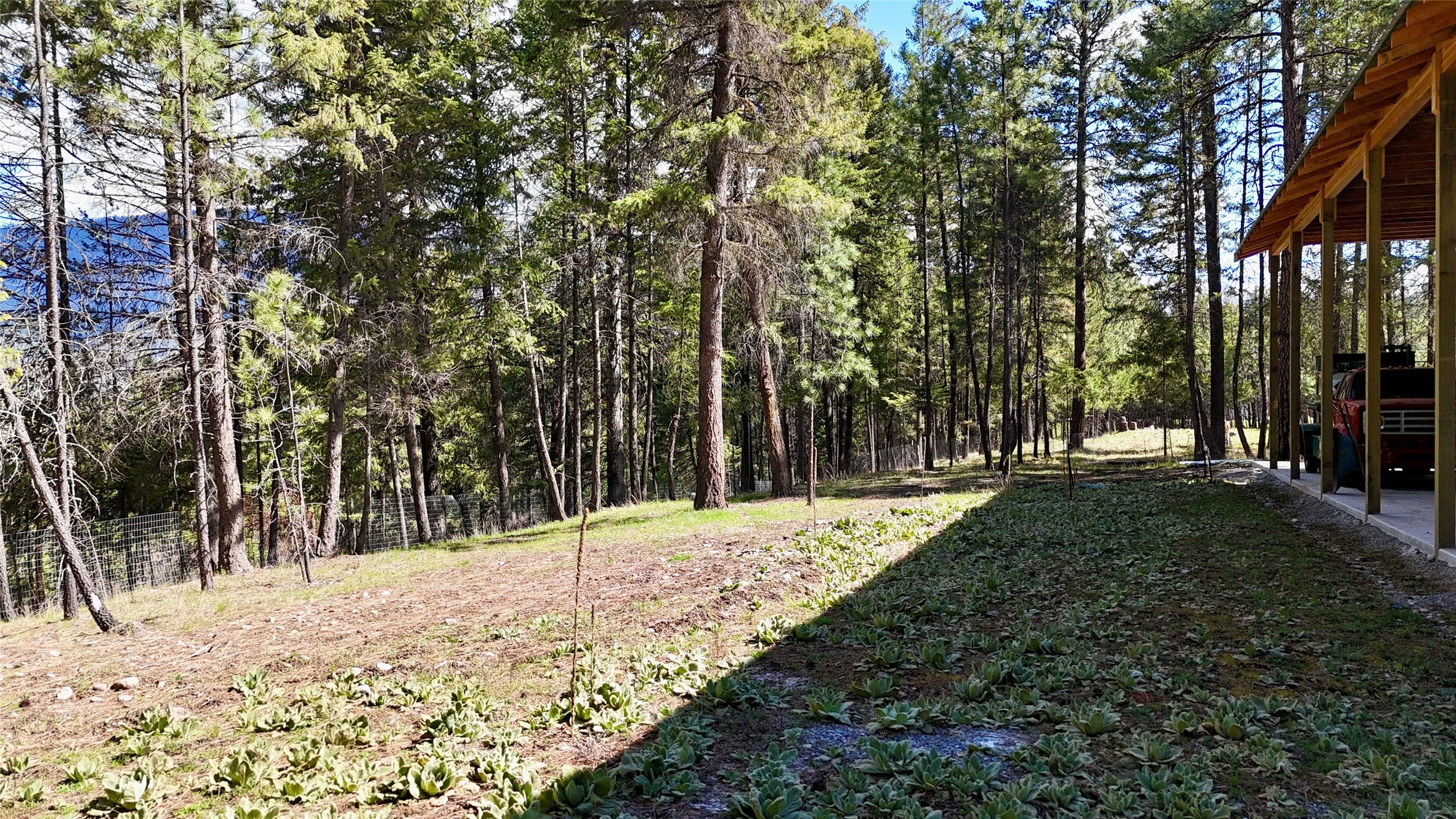 421 Cherry Creek Road Thompson Falls, MT 59873 - Photo 51 of 75 Side yard with septic