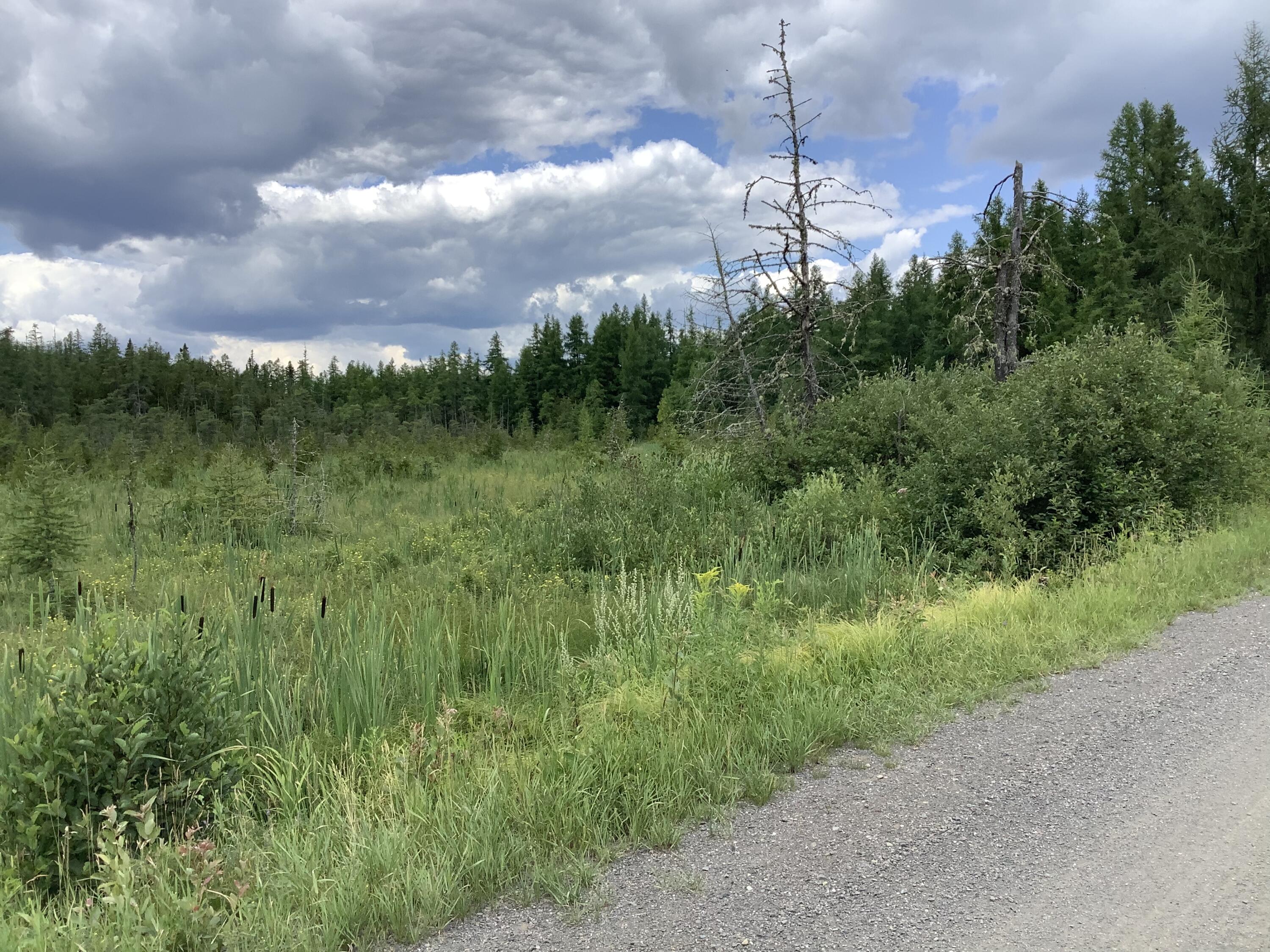 Map5-lot14a McIntyre Road Woodland, ME 04736 - Photo 5 of 12 E17506C5-7605-40F7-B570-D05CB152E2A5