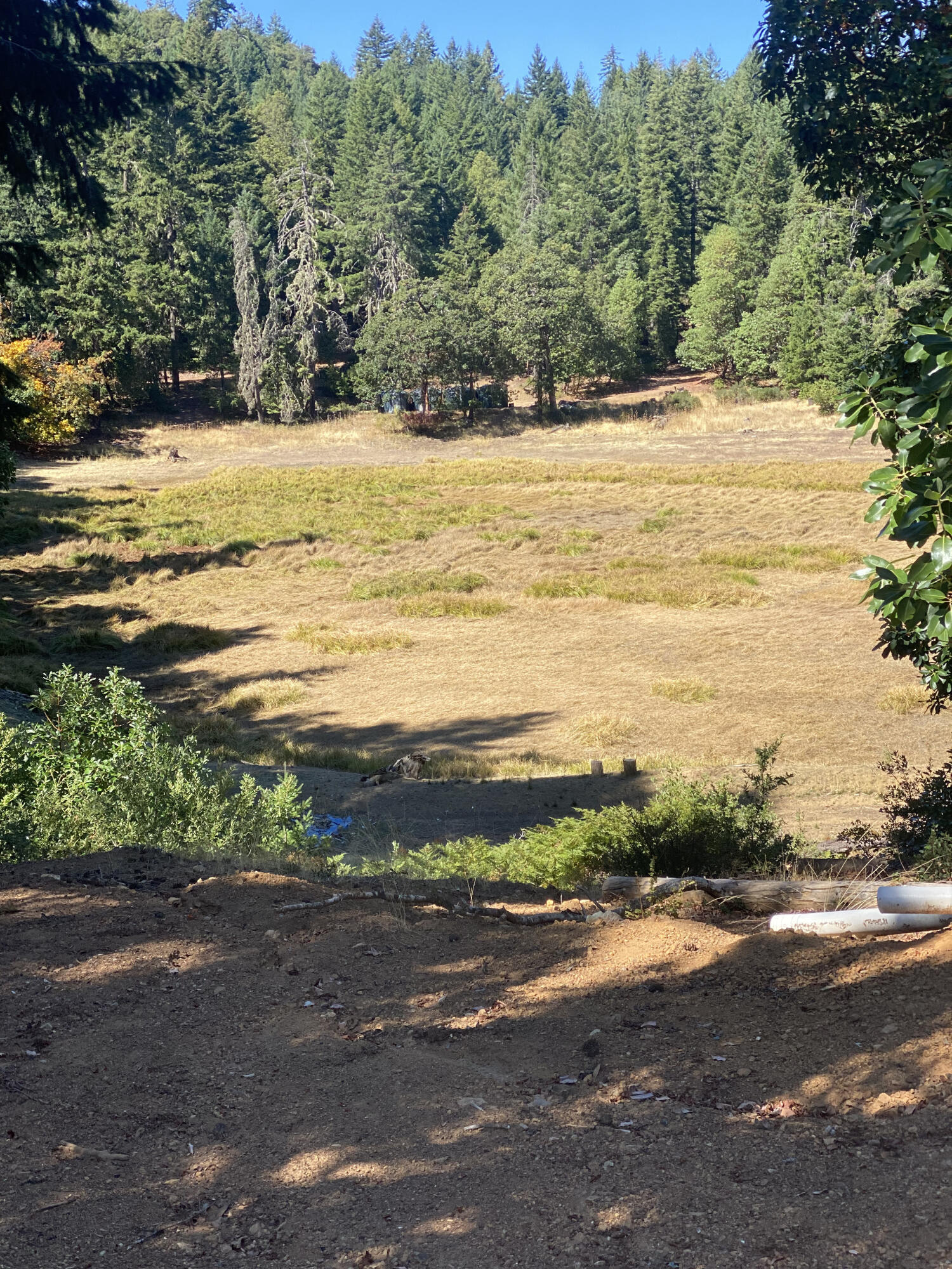1255 Mcdonald Creek Road Burnt Ranch, CA 95527 - Photo 3 of 44