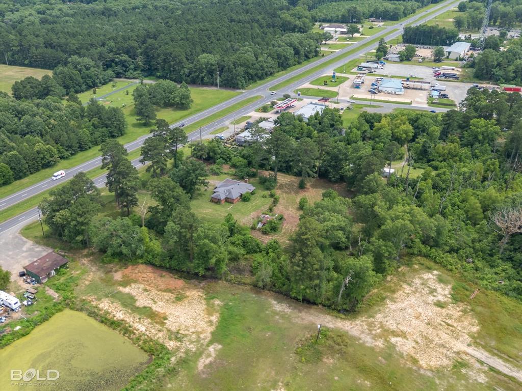 12274 Mansfield Road Keithville, LA 71047 - Photo 7 of 11 a view of a green yard with large trees