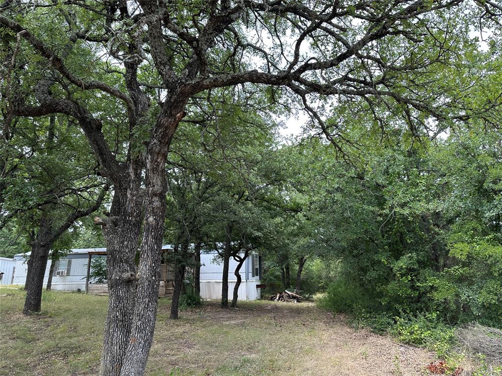 176 Live Oak Road Springtown, TX 76082 - Photo 29 of 29
