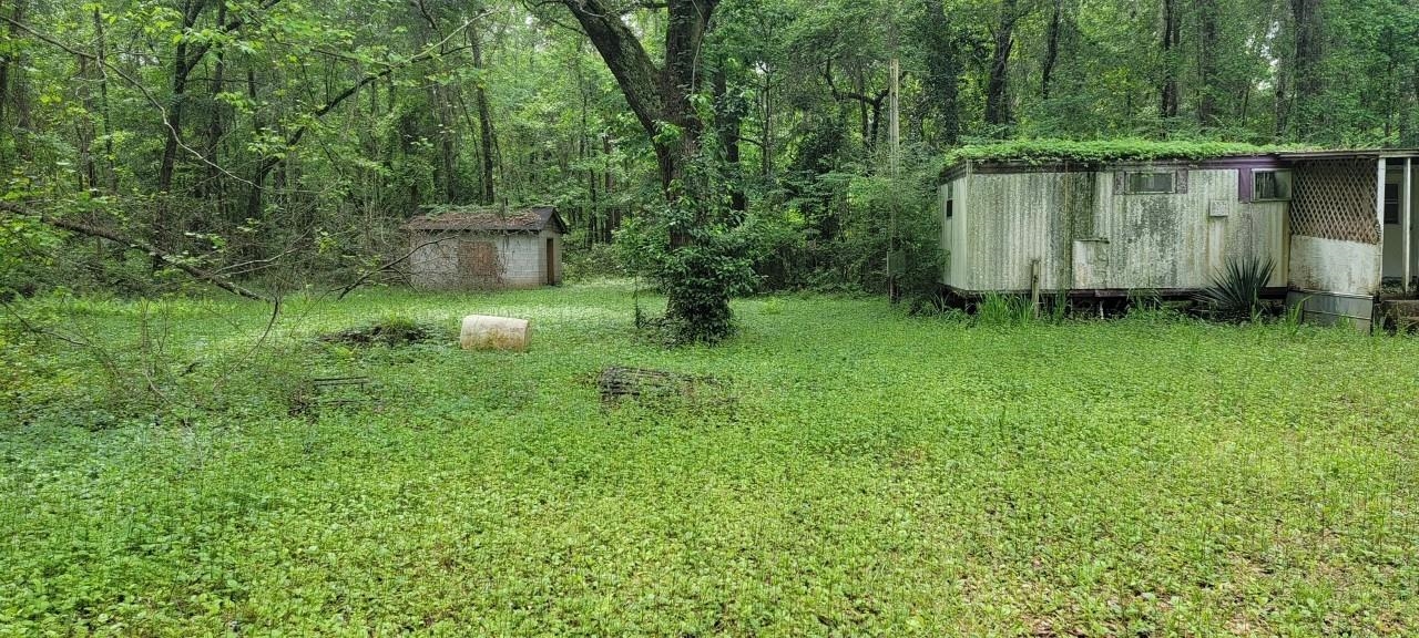 170 Ellis Road Tallahassee, FL 32317 - Photo 4 of 5