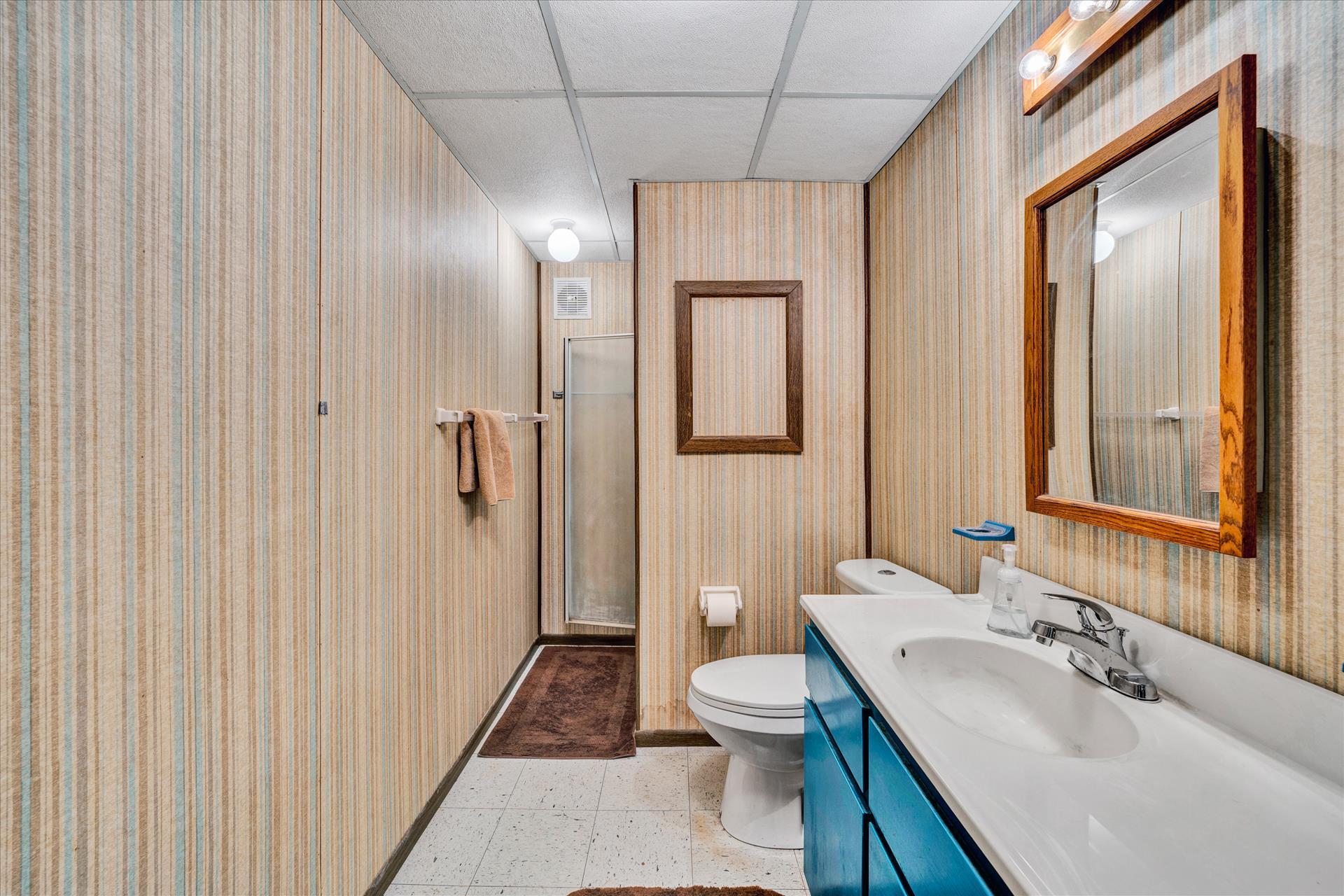 150 Island Road Hardy, VA 24101 - Photo 22 of 28 lower level bath