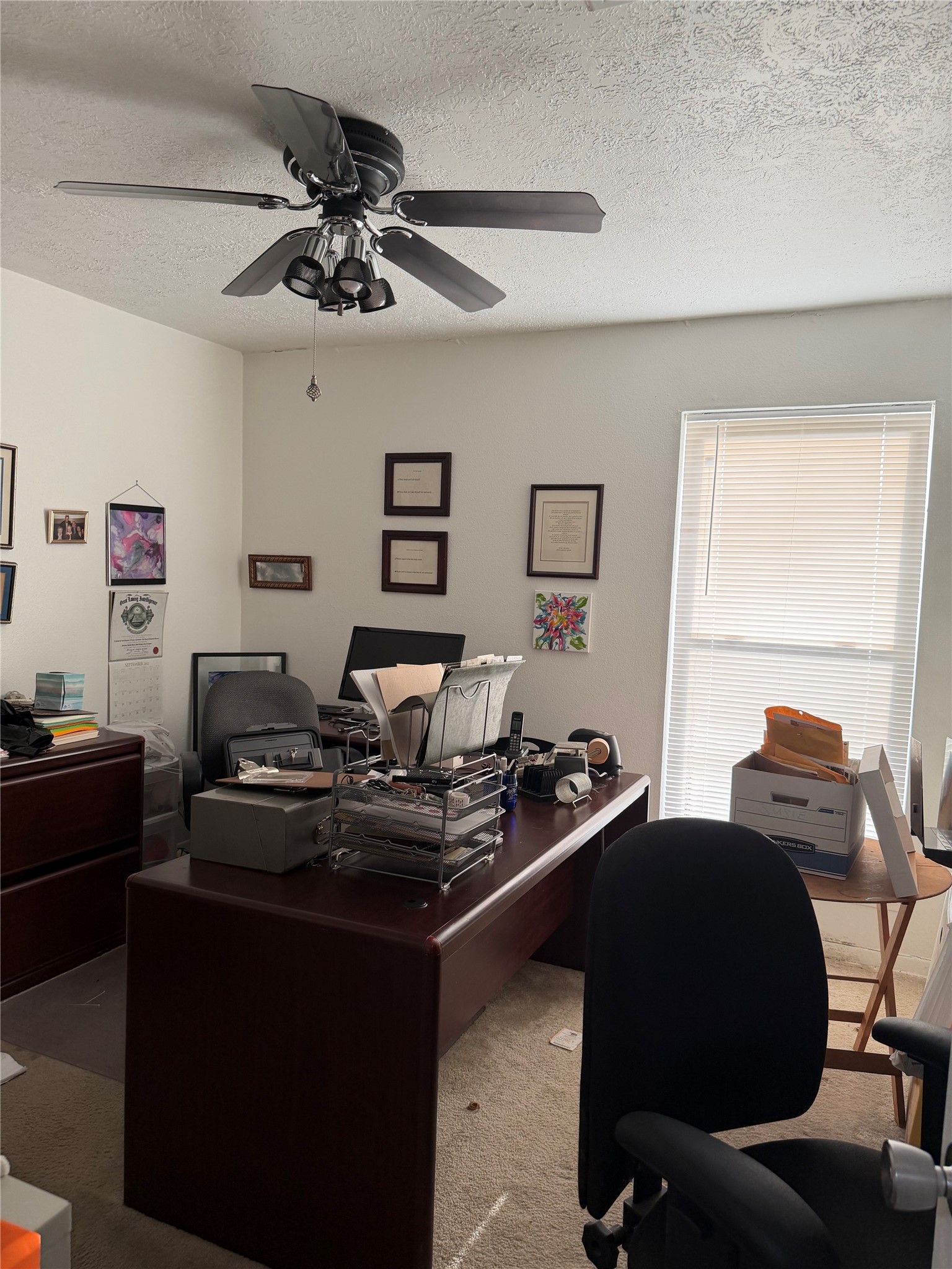 8652 Maplecrest Drive Houston, TX 77099 - Photo 7 of 8