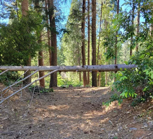 a view of outdoor space and yard