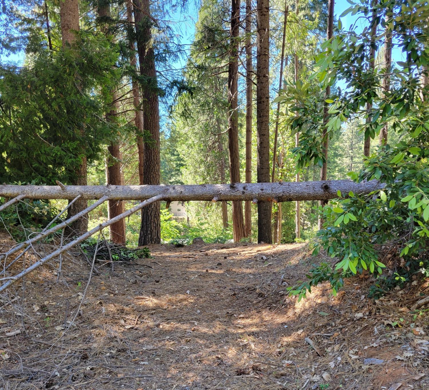a view of outdoor space and yard