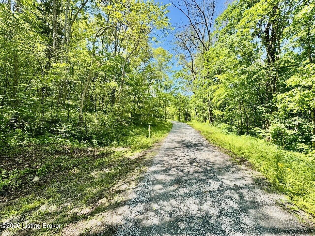 0 Three Three Licks Road Mackville, KY 40040 - Photo 2 of 36 031_Road