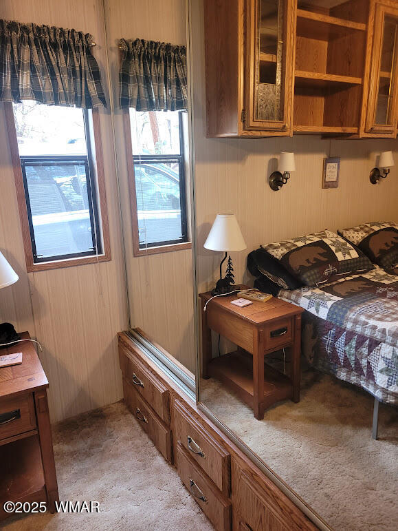 1930 Larson Road, Unit 8 Lakeside, AZ 85929 - Photo 12 of 26 20250609_120540 Mirrored closet