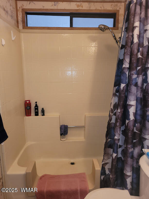 1930 Larson Road, Unit 8 Lakeside, AZ 85929 - Photo 14 of 26 20250609_120606Shower
