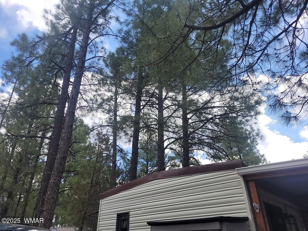 1930 Larson Road, Unit 8 Lakeside, AZ 85929 - Photo 19 of 26 20250609_121122 Tall Pines