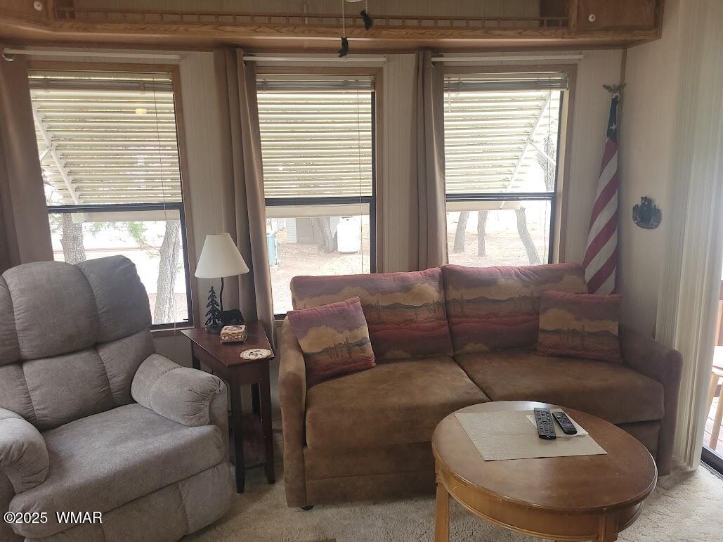 1930 Larson Road, Unit 8 Lakeside, AZ 85929 - Photo 4 of 26 20250609_120733 Living Room sleeper
