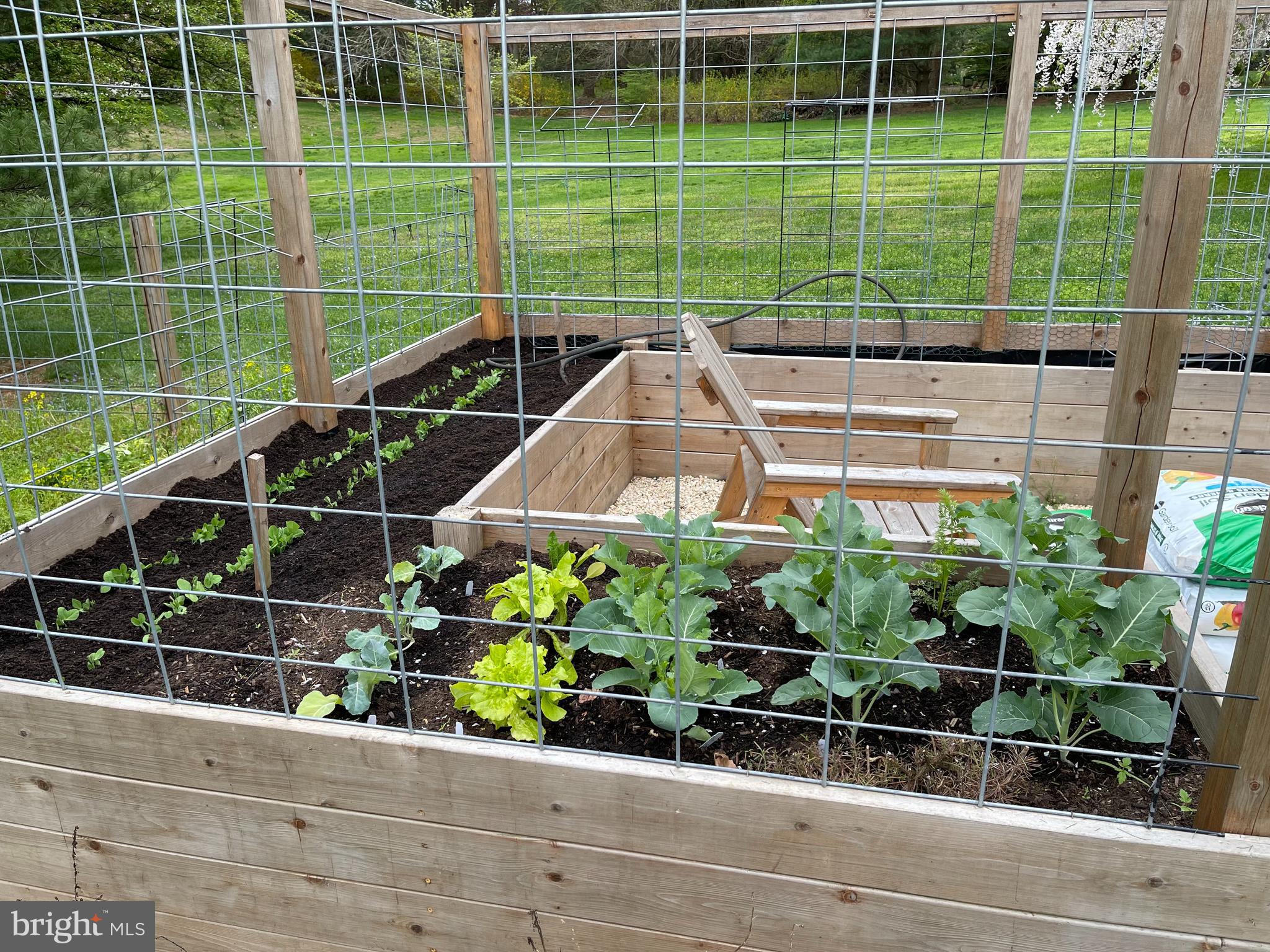 1709 Campbell Road Forest Hill, MD 21050 - Photo 49 of 58