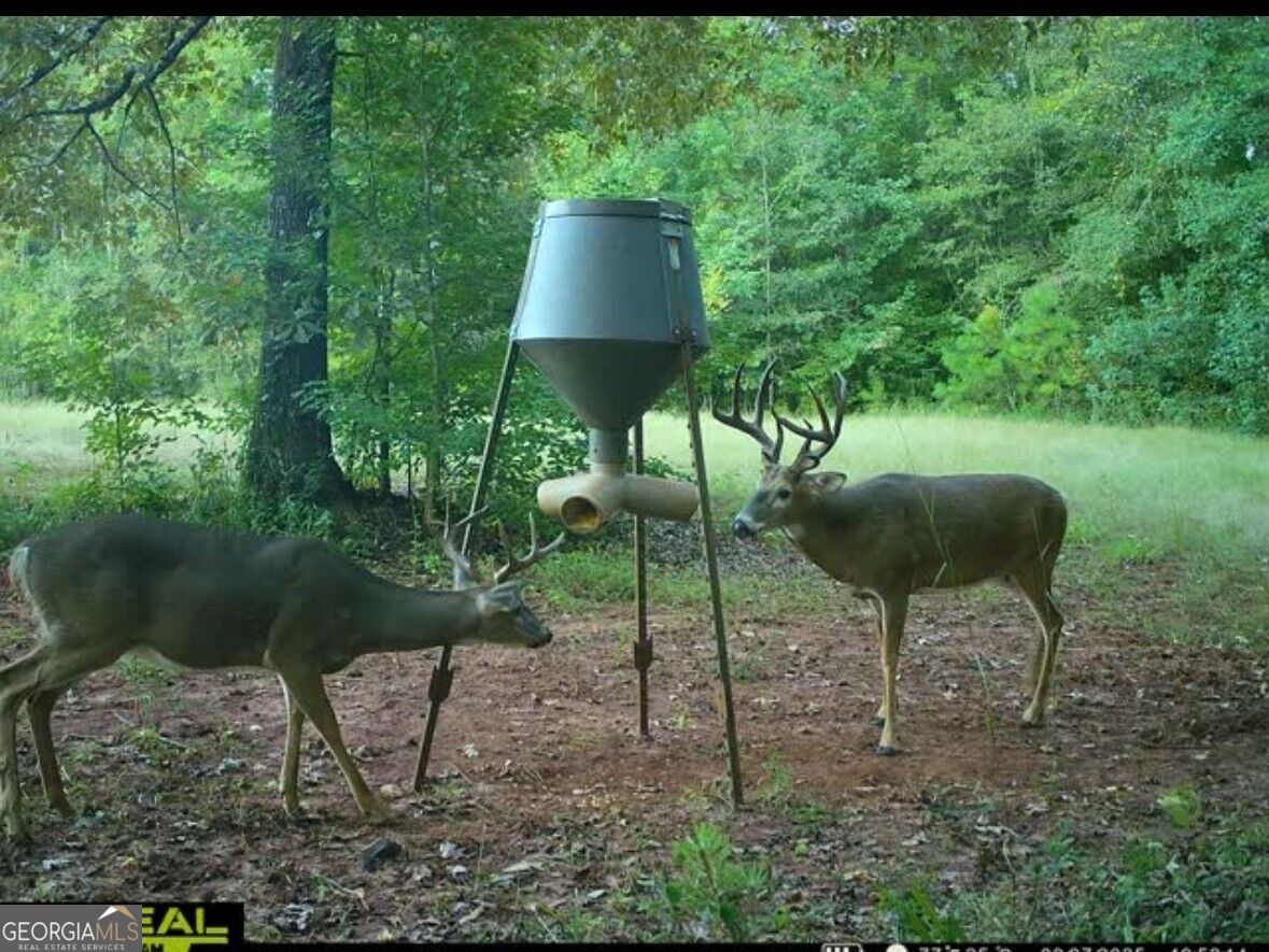 T1 Old Zebulon Road Forsyth, GA 31029 - Photo 100 of 112 Gallery Image 100