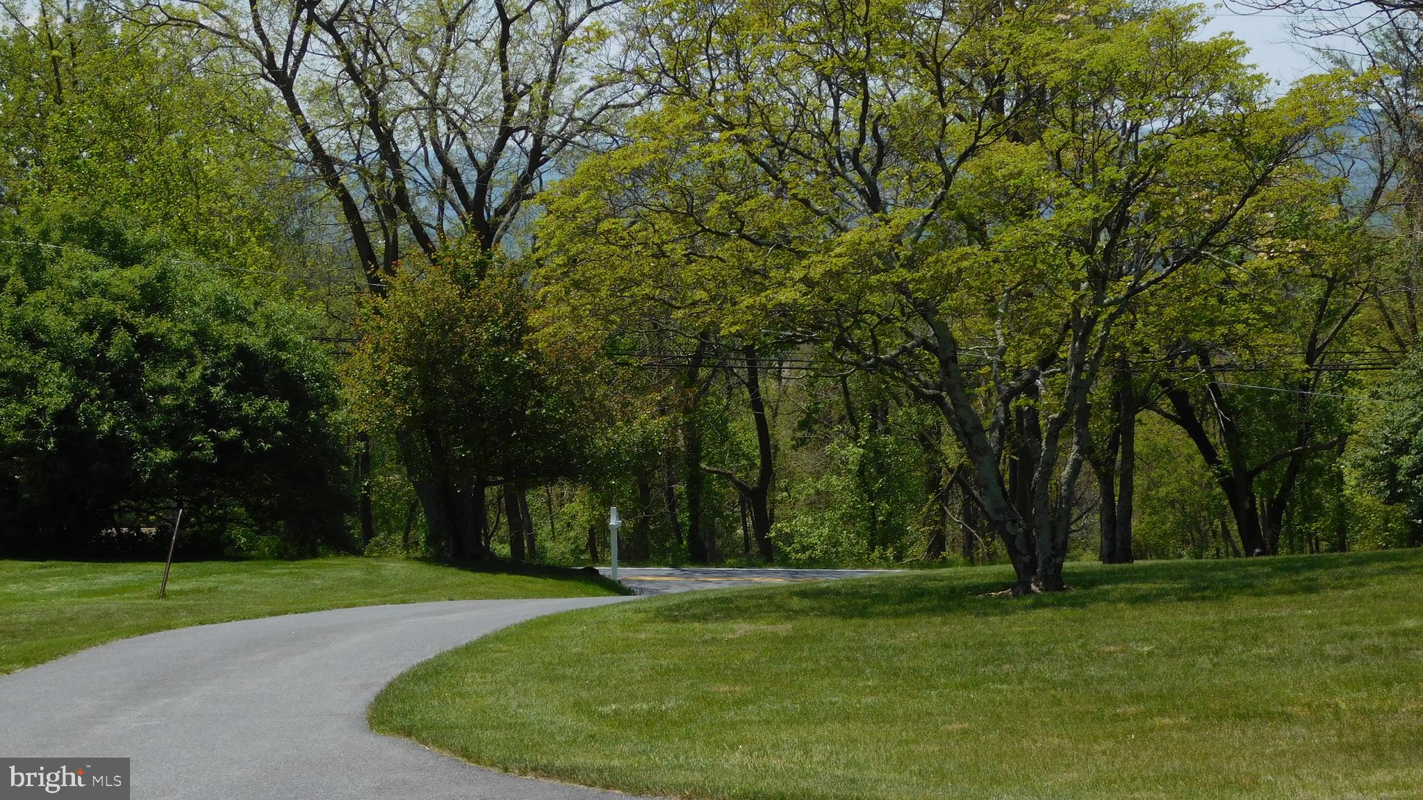 7839 Ridge Road Frederick, MD 21702 - Photo 5 of 63 Trees line driveway