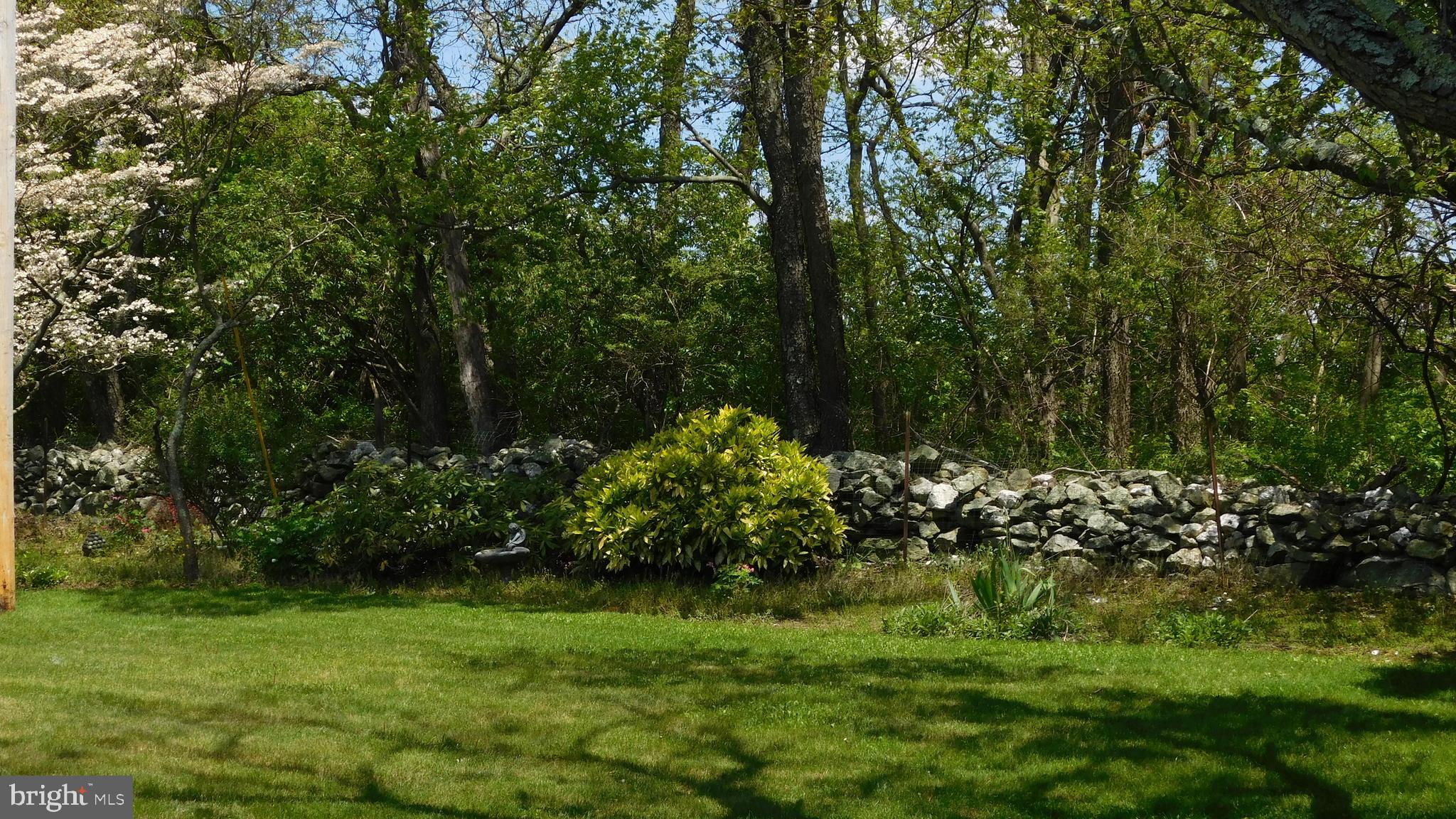 7839 Ridge Road Frederick, MD 21702 - Photo 49 of 63 Landscaped backyard with fully lined trees
