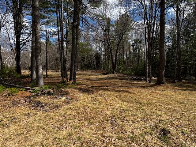 125 Packard Road Monson, ME 04464 - Photo 24 of 26 IMG_4821