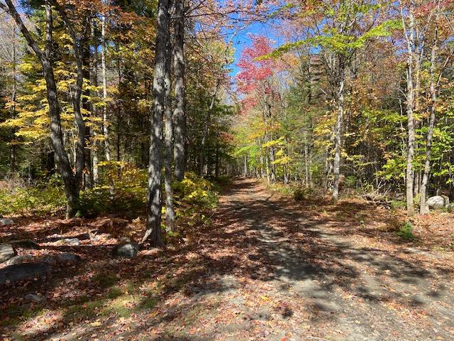 125 Packard Road Monson, ME 04464 - Photo 25 of 26 IMG_2125