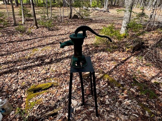 125 Packard Road Monson, ME 04464 - Photo 10 of 26 IMG_4814