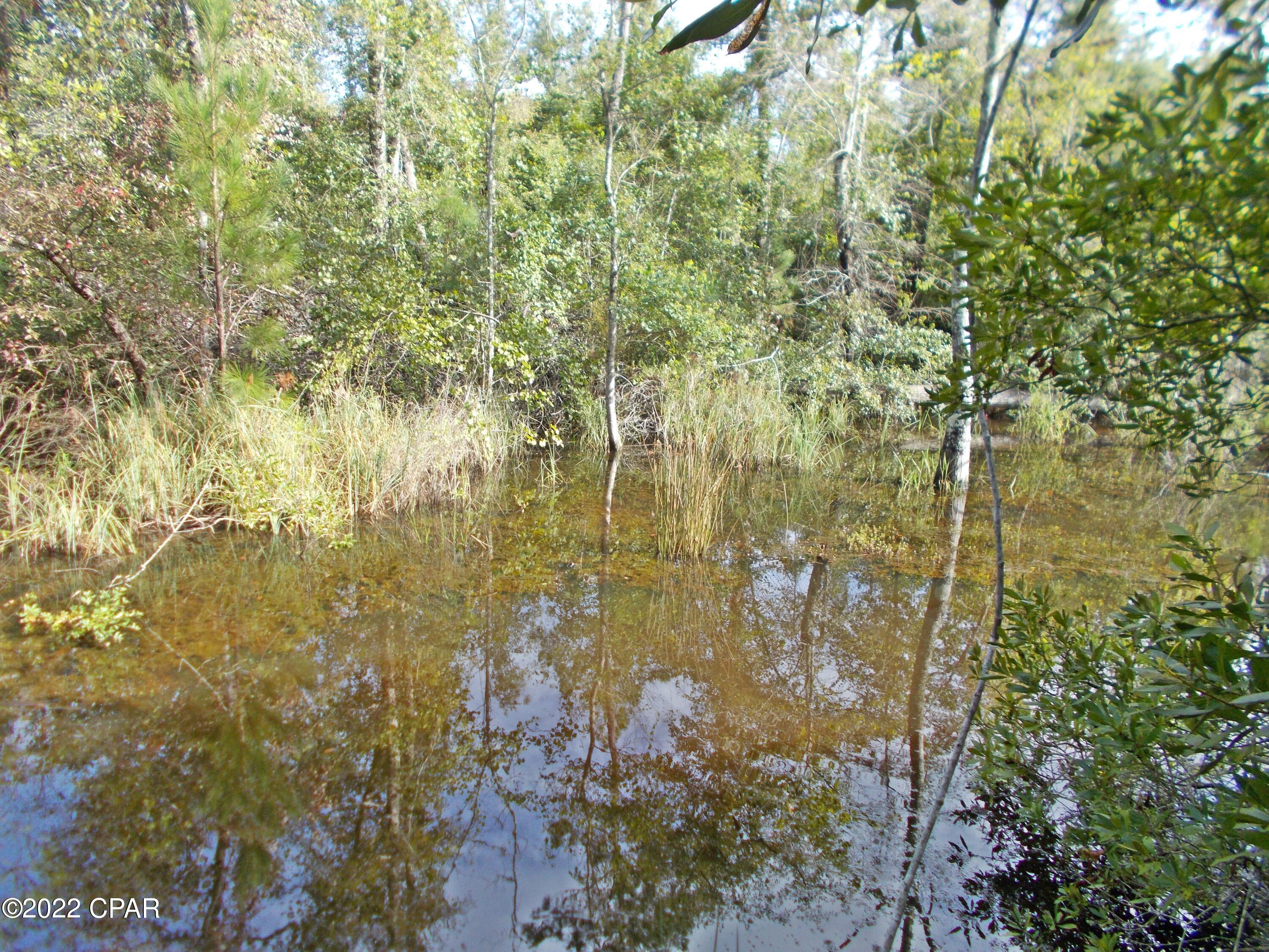 0 Perry Road Cottondale, FL 32431 - Photo 2 of 17