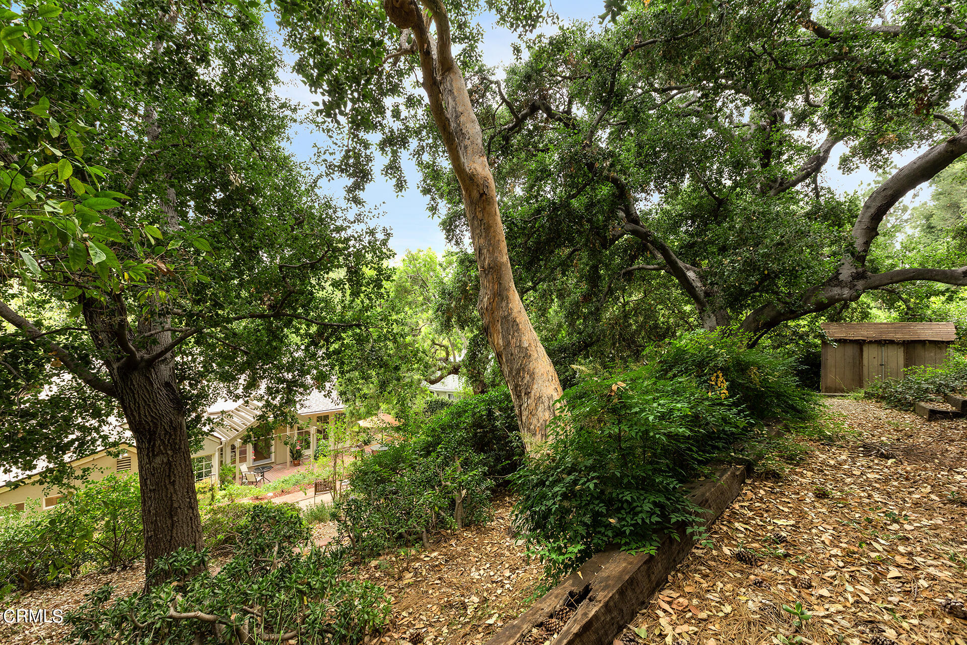 737 Old Mill Road Pasadena, CA 91108 - Photo 30 of 31 036IMG_0306 Web