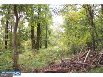 39 Winterhill Road Bernville, PA 19506 - Photo 5 of 6 Gallery Image 5