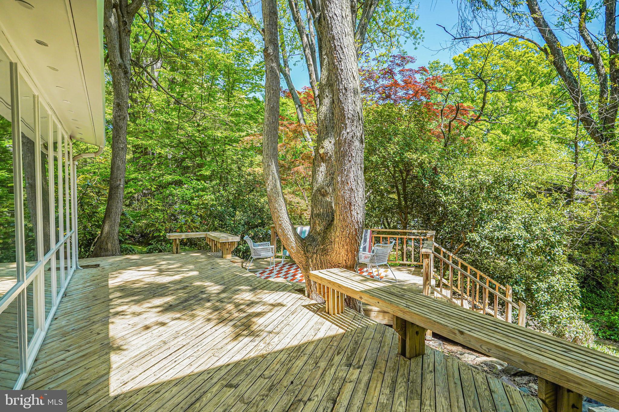 2009 Marthas Road Alexandria, VA 22307 - Photo 28 of 88